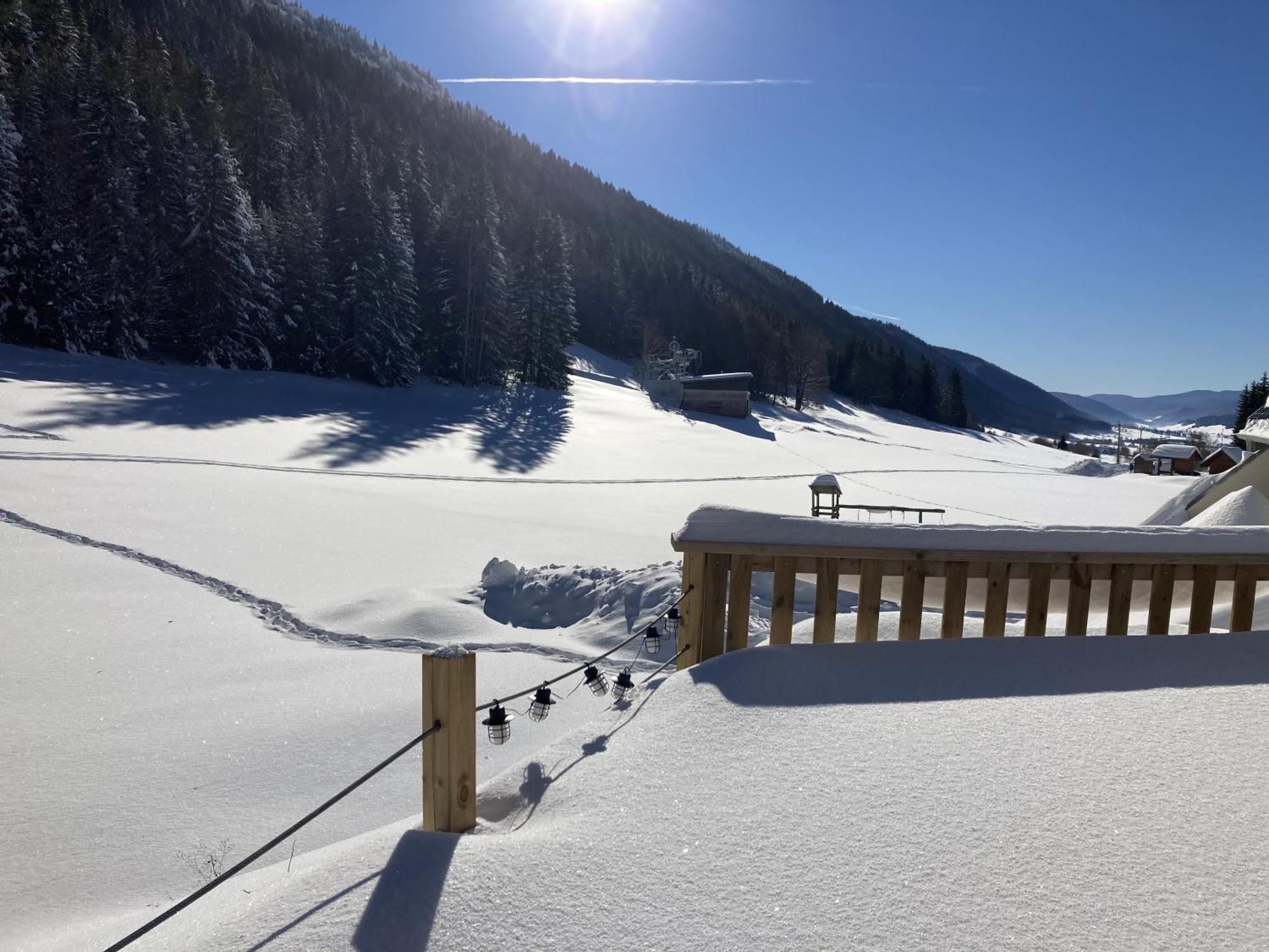 Вилла Gite La Resilience, Sur La Piste De Ski D'Autrans Номер фото